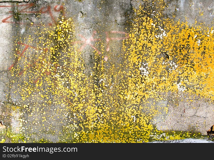 Grunge texture / background on a cracked stone wall with splashes of paint. Grunge texture / background on a cracked stone wall with splashes of paint.