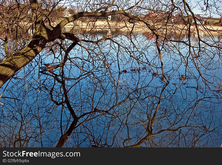 A Strong Branch juts out above a pond