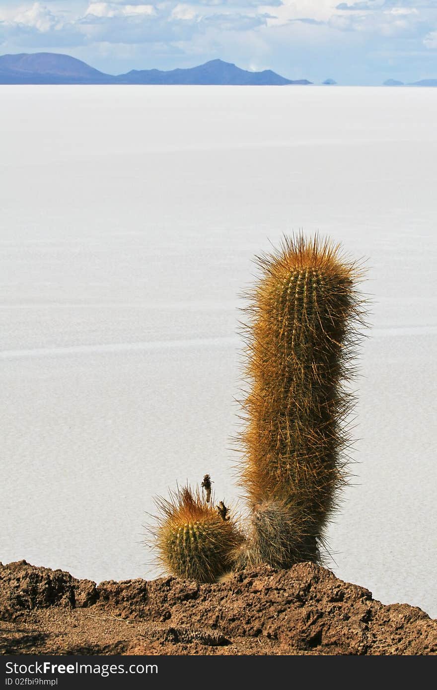 Salar de Uyuni in Bolivian Andes