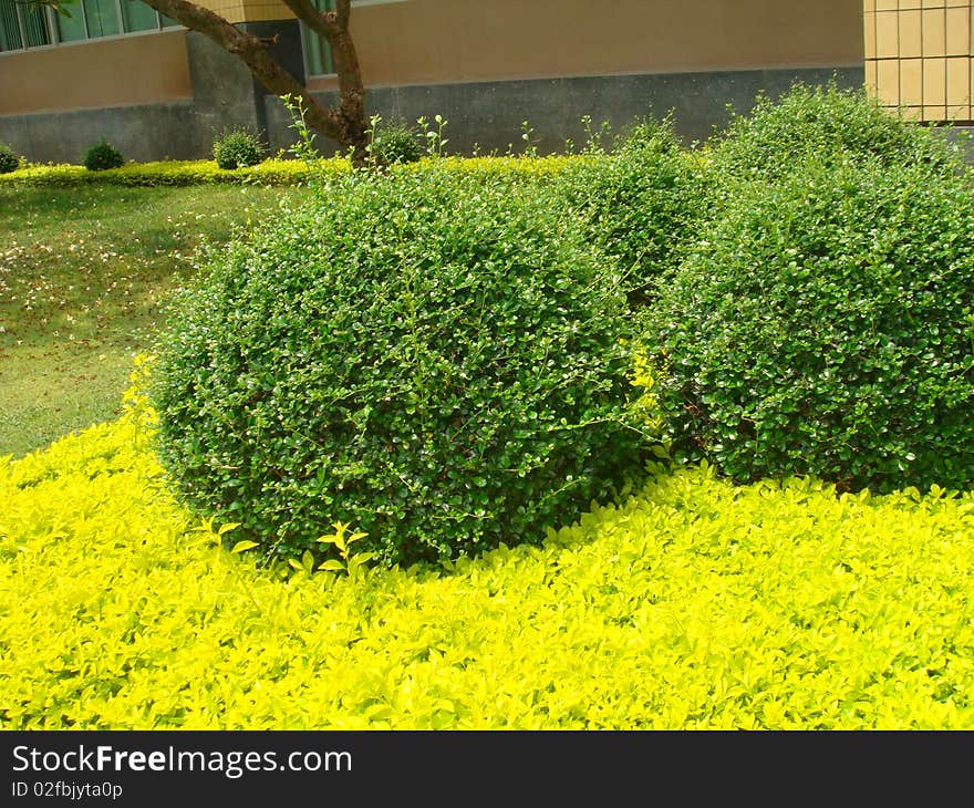 Garden in ubonratchatani university in thailand