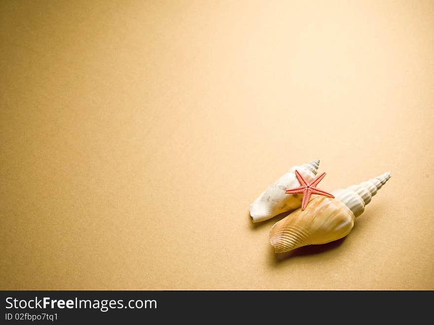 Sea shell and starfish on brown background. Sea shell and starfish on brown background