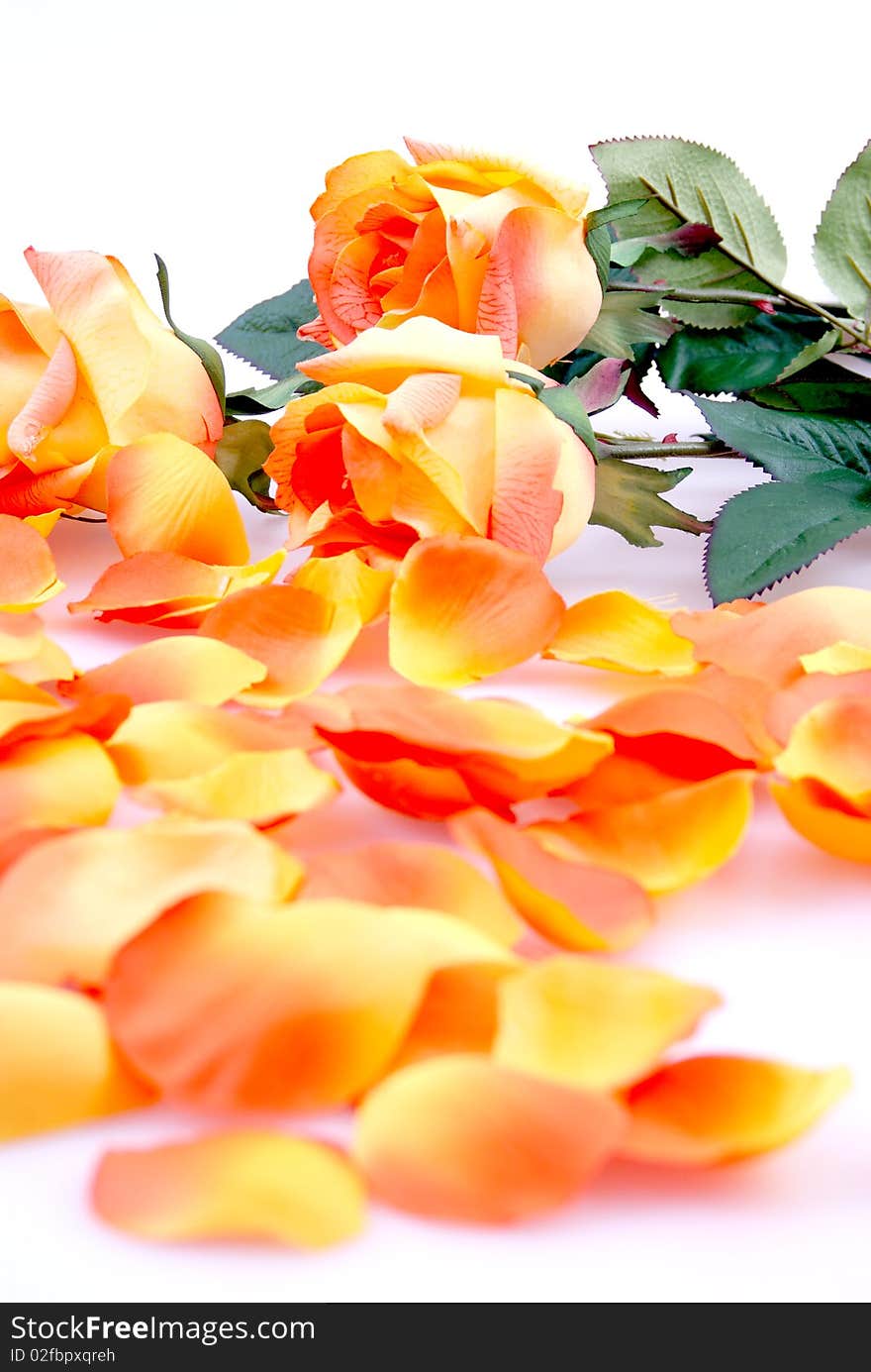 Nice white still life with orange roses.