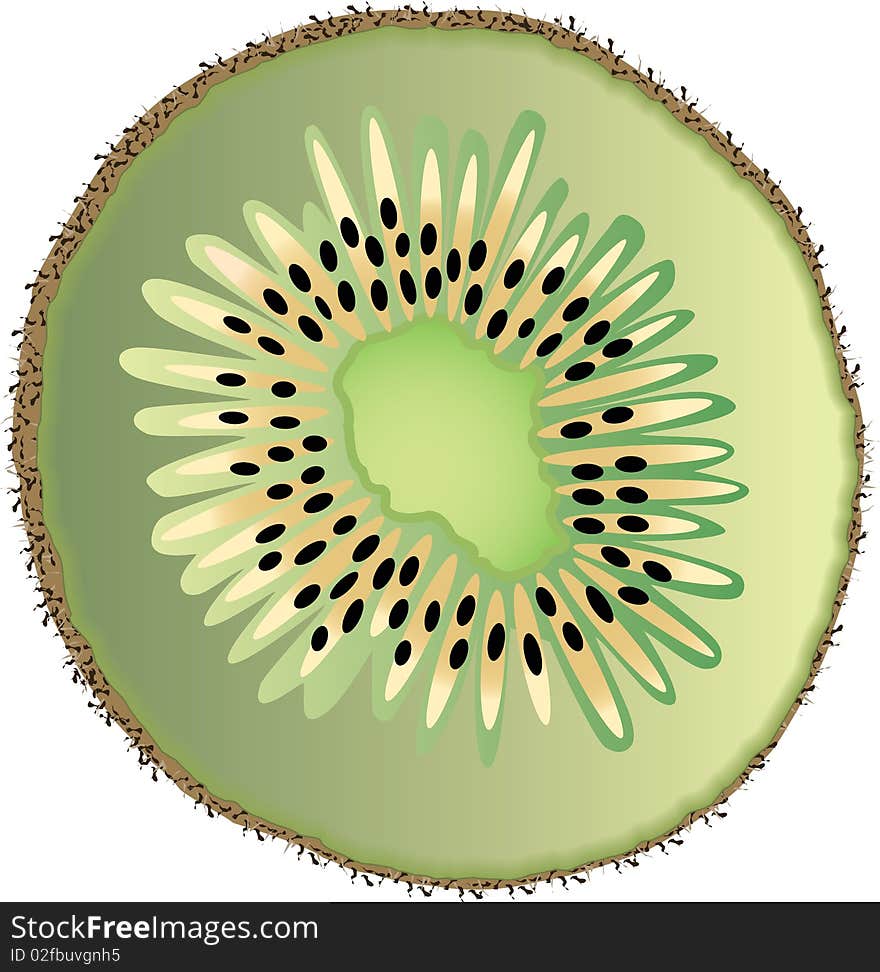 A  illustration of a fresh, juicy, sliced kiwi, isolated on a white background