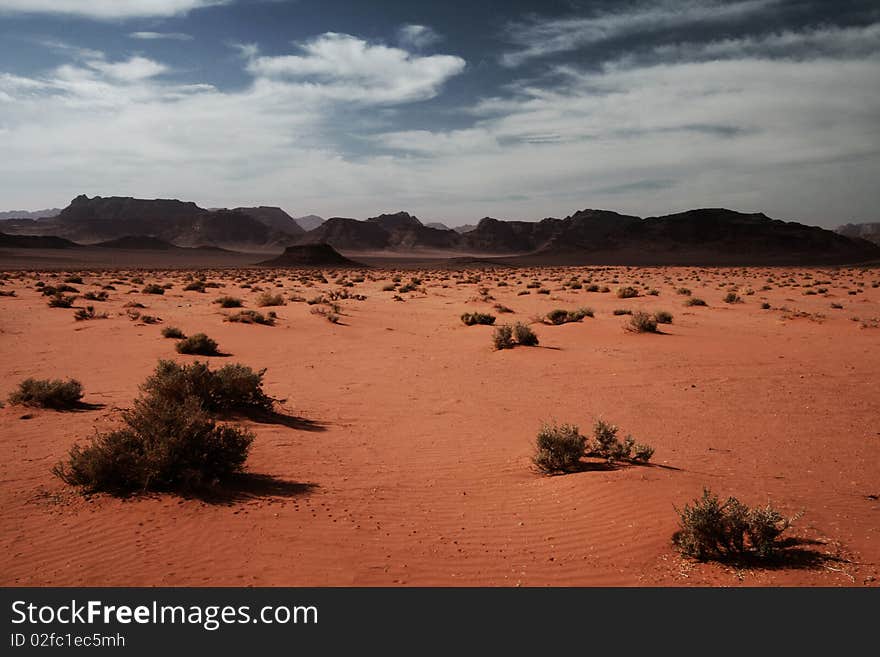 Wadi Rum