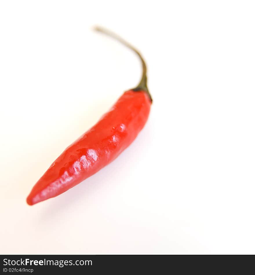 Chili Pepper