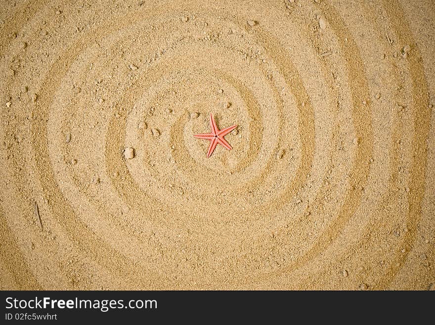 Little starfish on brown sand