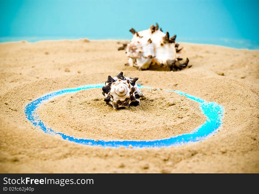 Two sea shells on sand. Two sea shells on sand