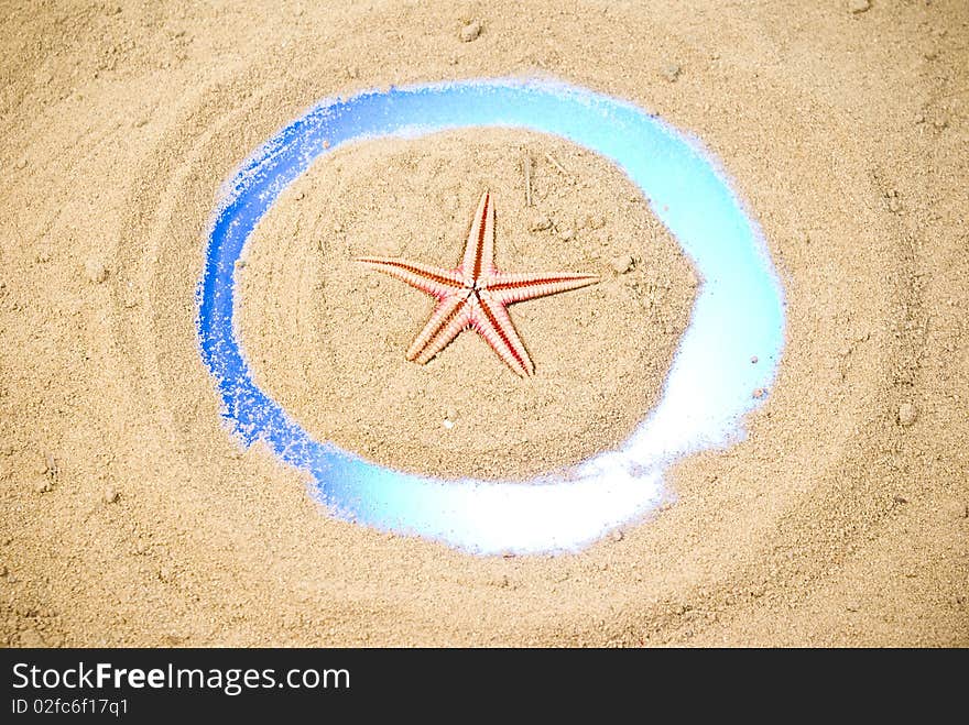 Red starfish on sand and blue circle. Red starfish on sand and blue circle