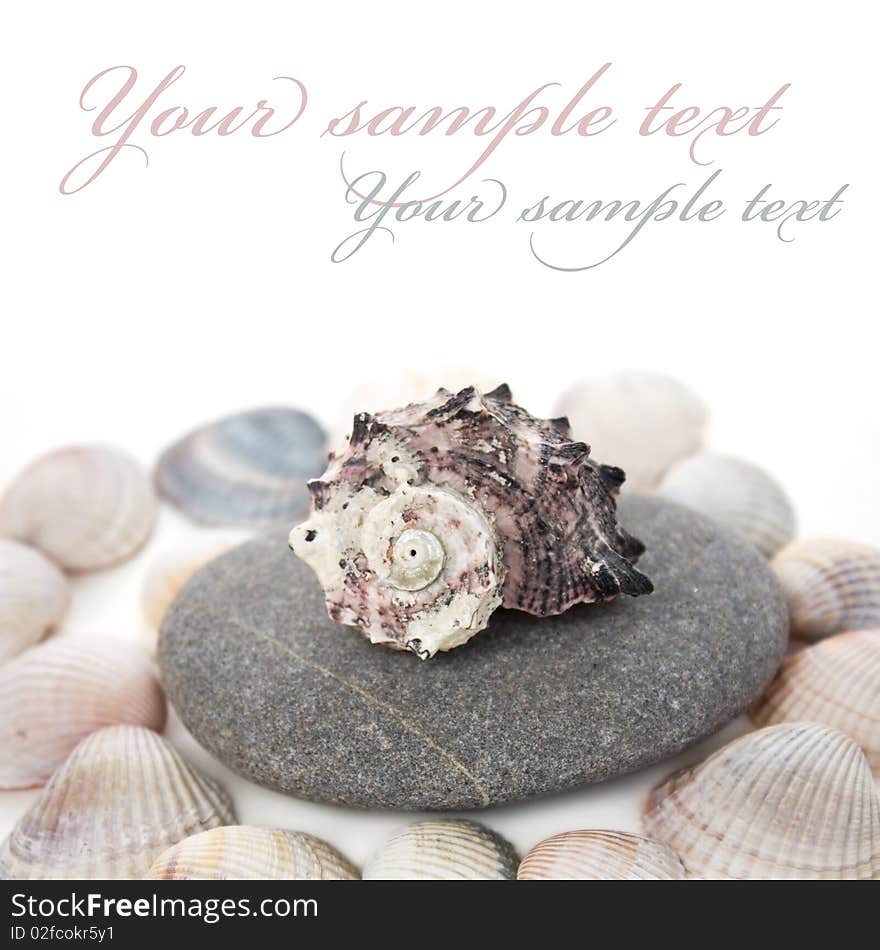 Cockle-shell with pebble on white background