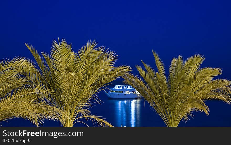 Private boat at night framed by palm trees. Private boat at night framed by palm trees