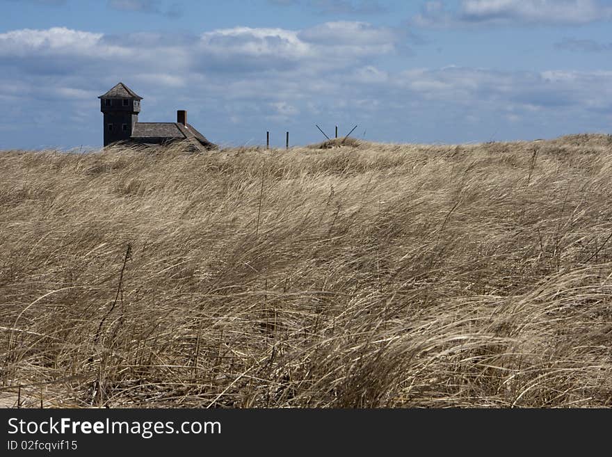 Wheat Field with structure blue puffy white clouds. Wheat Field with structure blue puffy white clouds