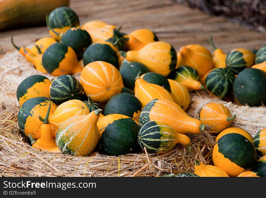 Variety of small striped pumpkins on the straw circle