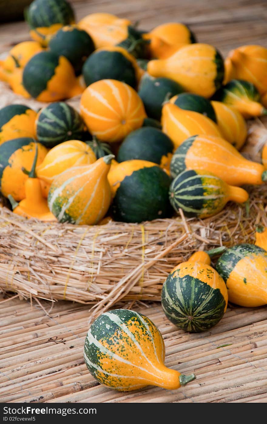 Variety of small striped pumpkins on the straw circle