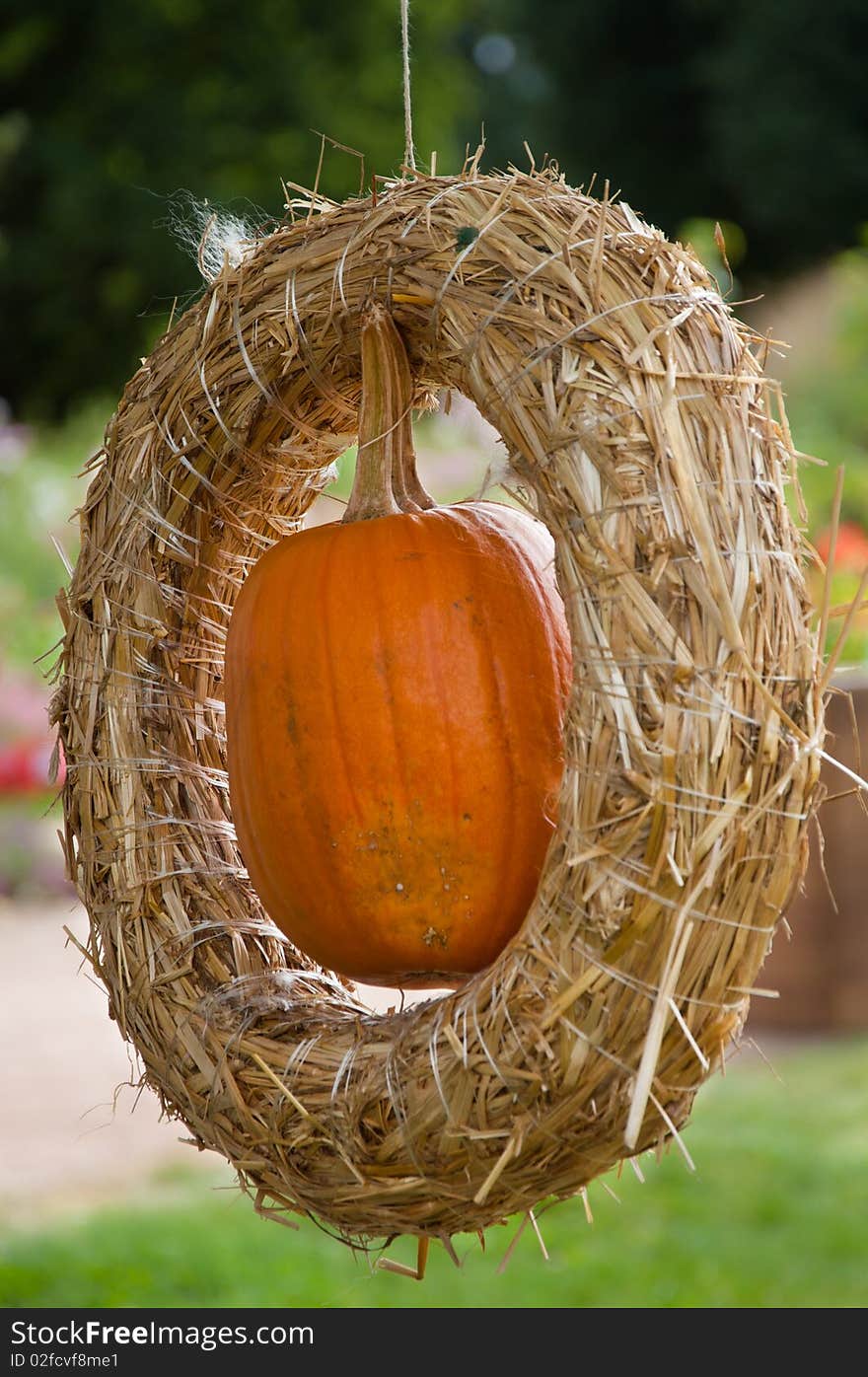 Pumpkin In The Straw Circle