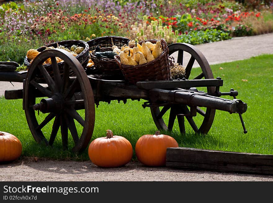 Variety of pumpkins on the wagon in the garden