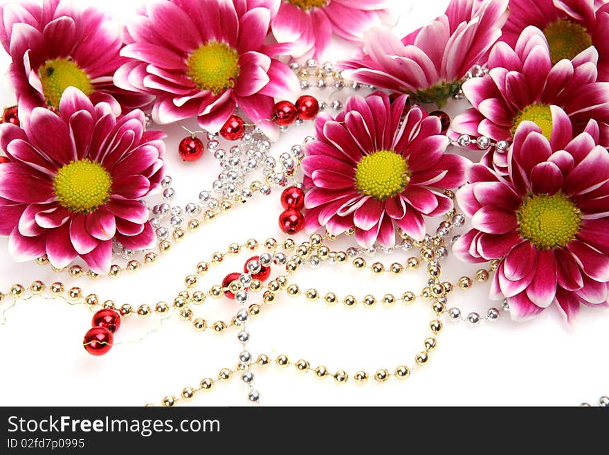 Pink flowers on a white background