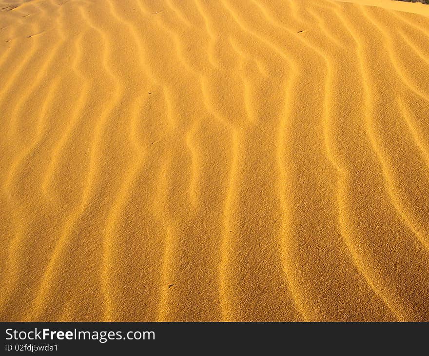 Sun creates light waves on sandunes