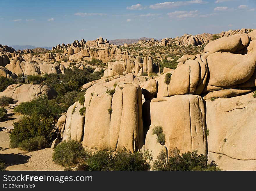 Scenic rocks and trees in Joshua Park