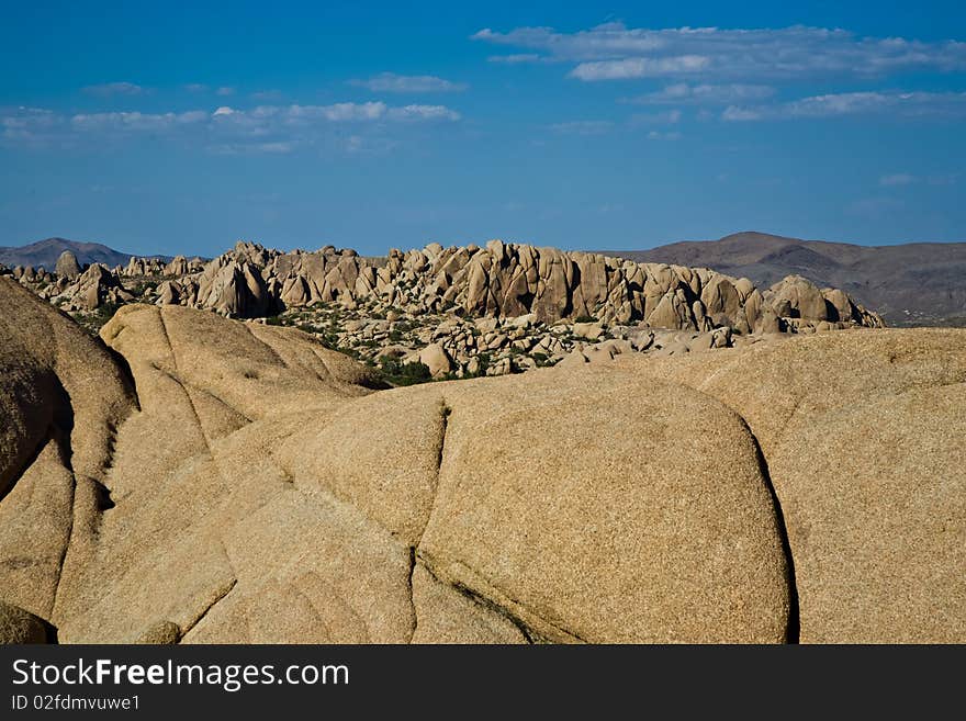 Scenic rocks and trees in Joshua Park