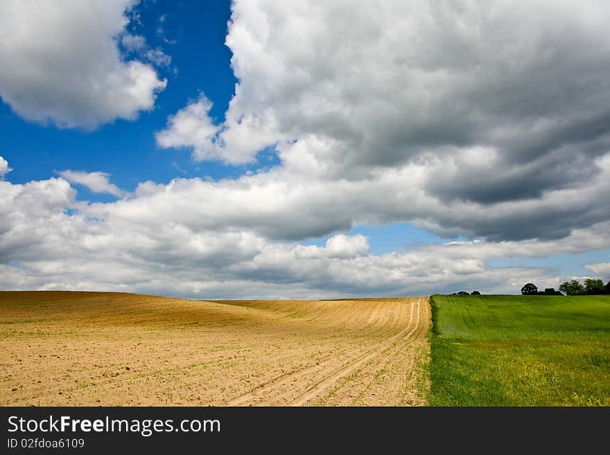 Rural landscape