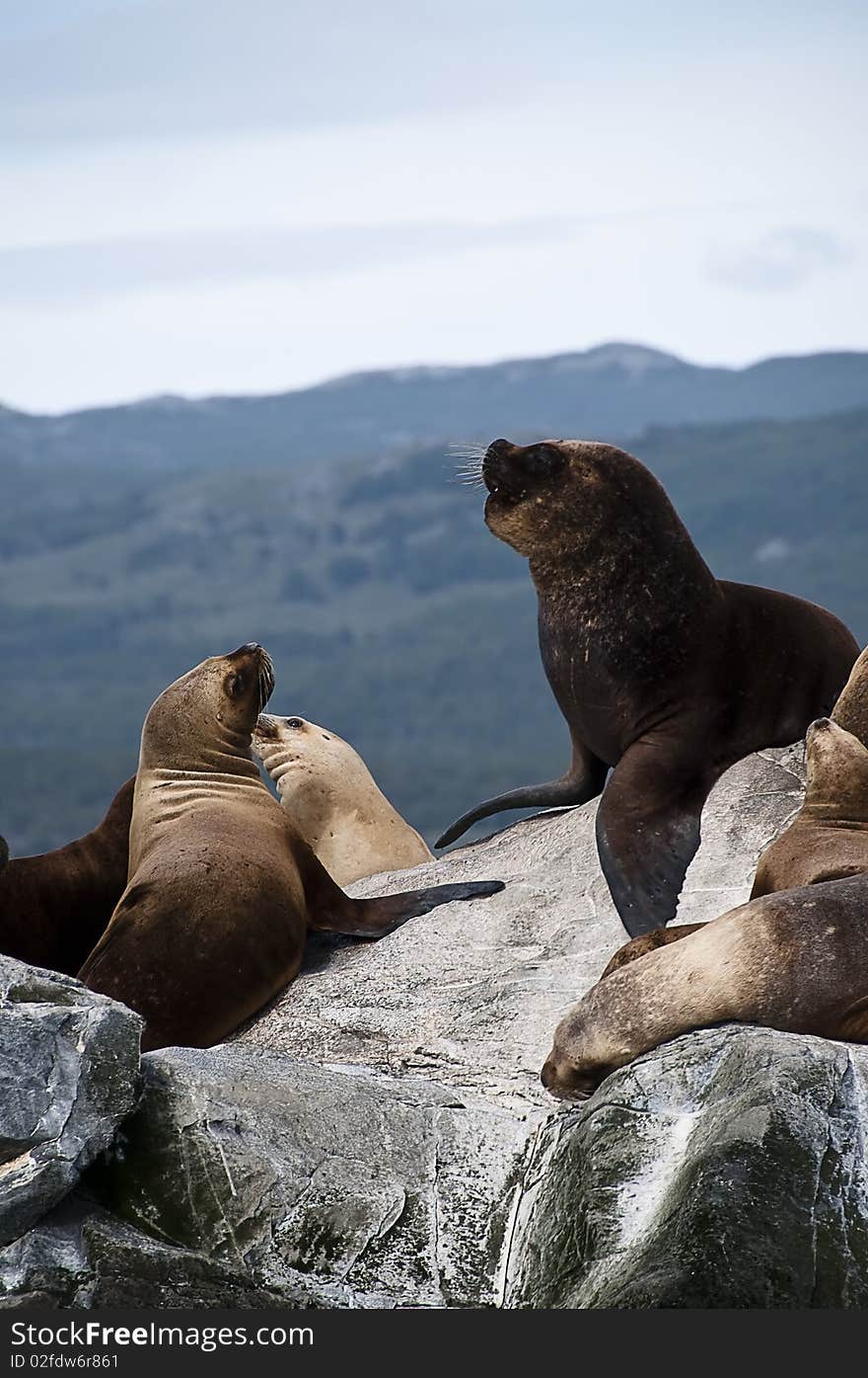 Tierra del fuego