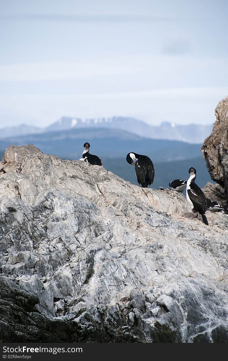 Small island in canal beagle. Small island in canal beagle