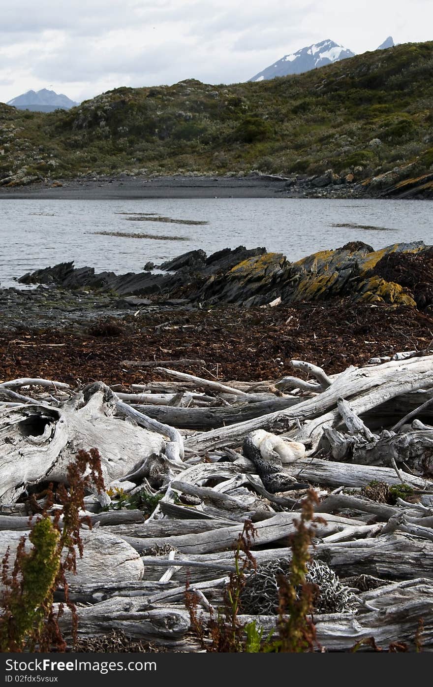 Small island in canal beagle. Small island in canal beagle