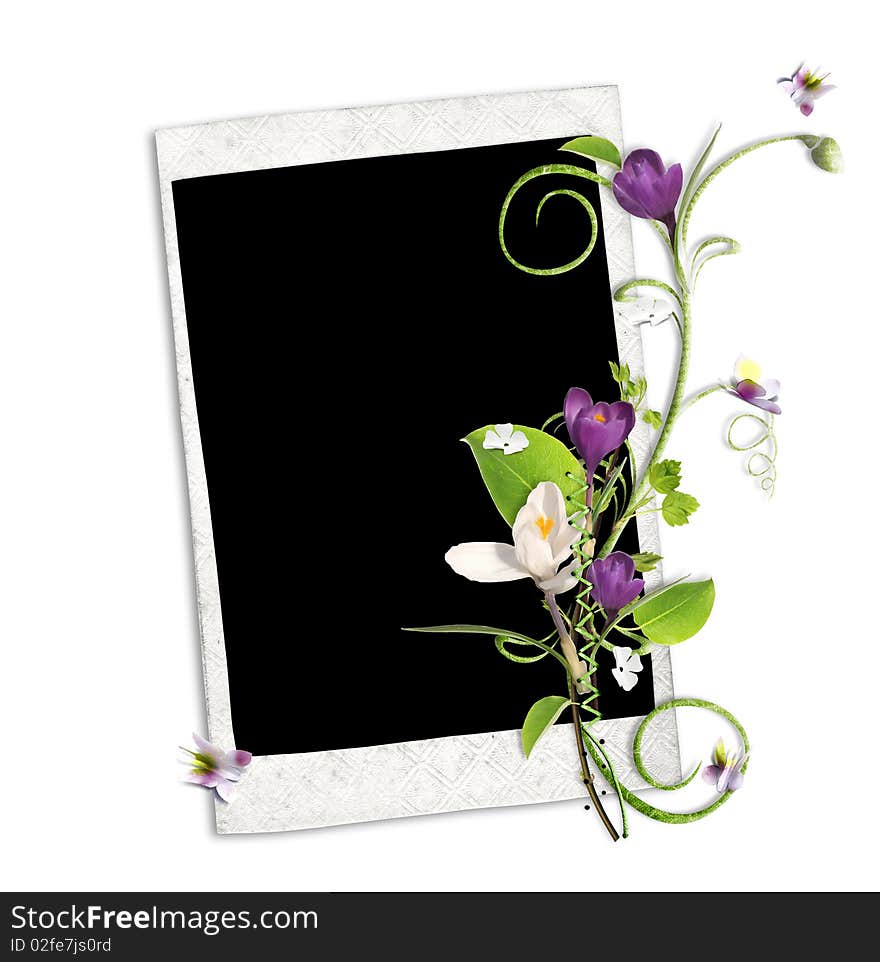 White frame with crocus and spring branch