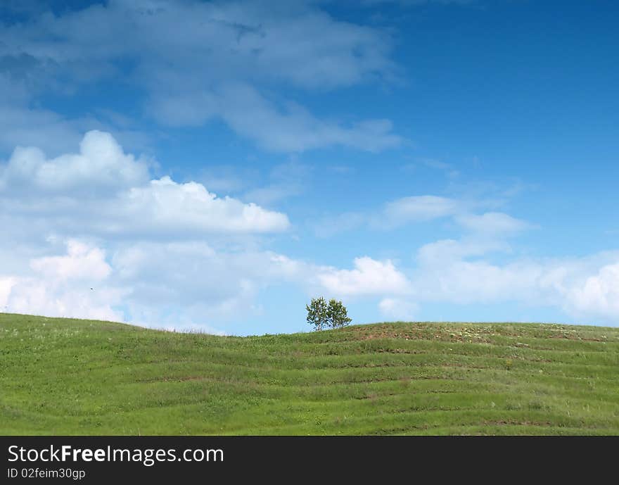 Summer landscape with blue sky.