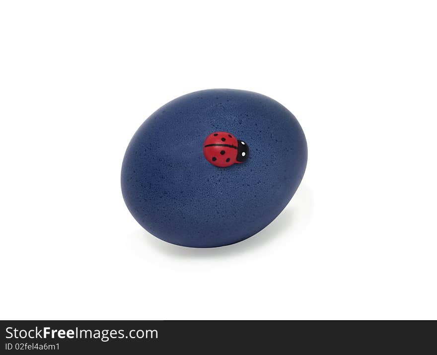 Dark blue Easter egg and red ladybird