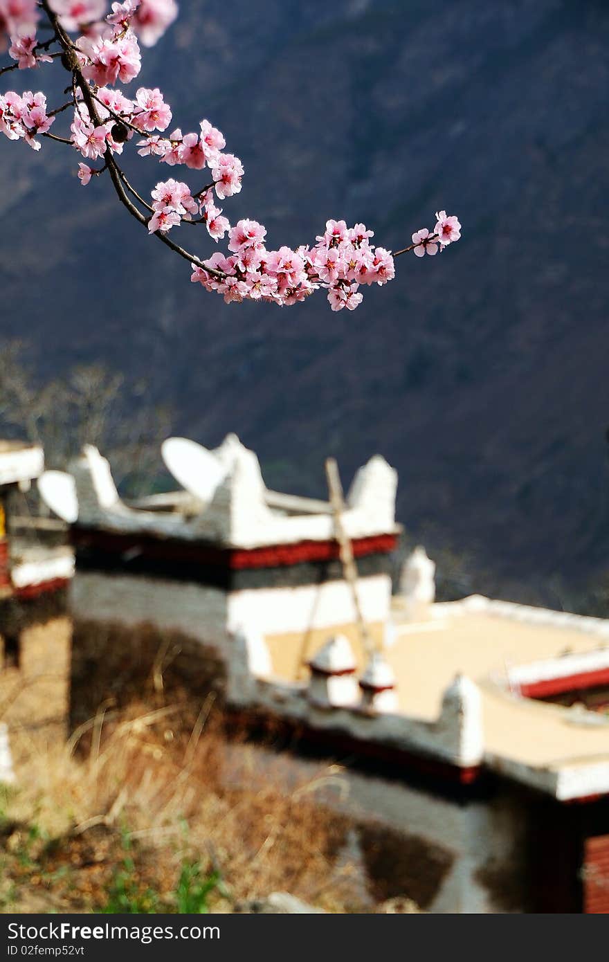 The building of tibetan