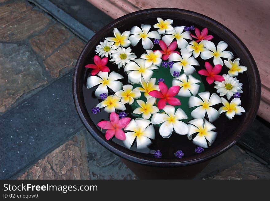 Floating colorful flowers in the vase. Floating colorful flowers in the vase