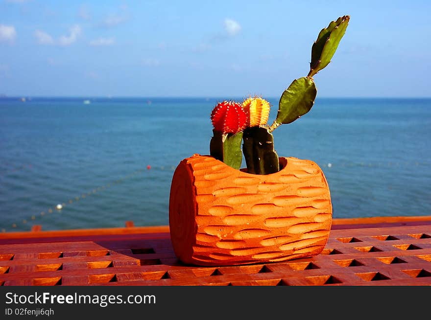 Colorful cactus on the table next to the sea. Colorful cactus on the table next to the sea