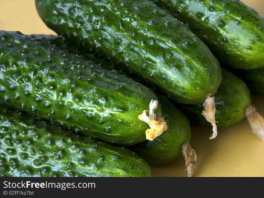 Fresh green cucumbers on the yellow plate