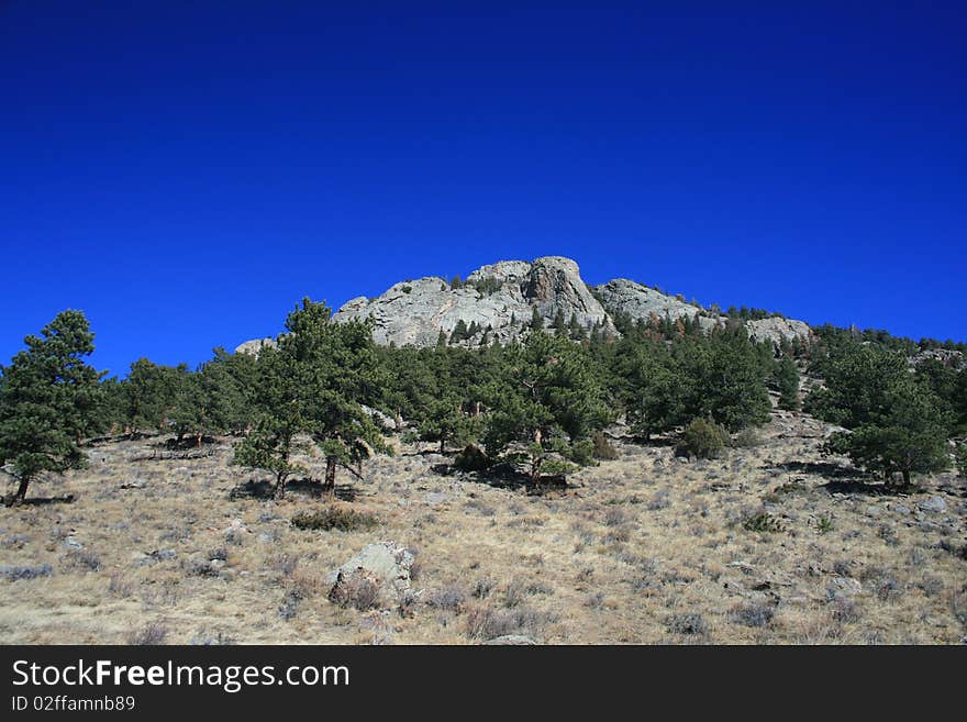 Uphill View On A Mountainside