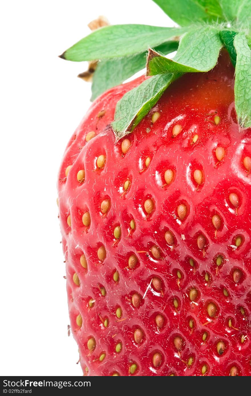 Fresh strawberry isolated on white background