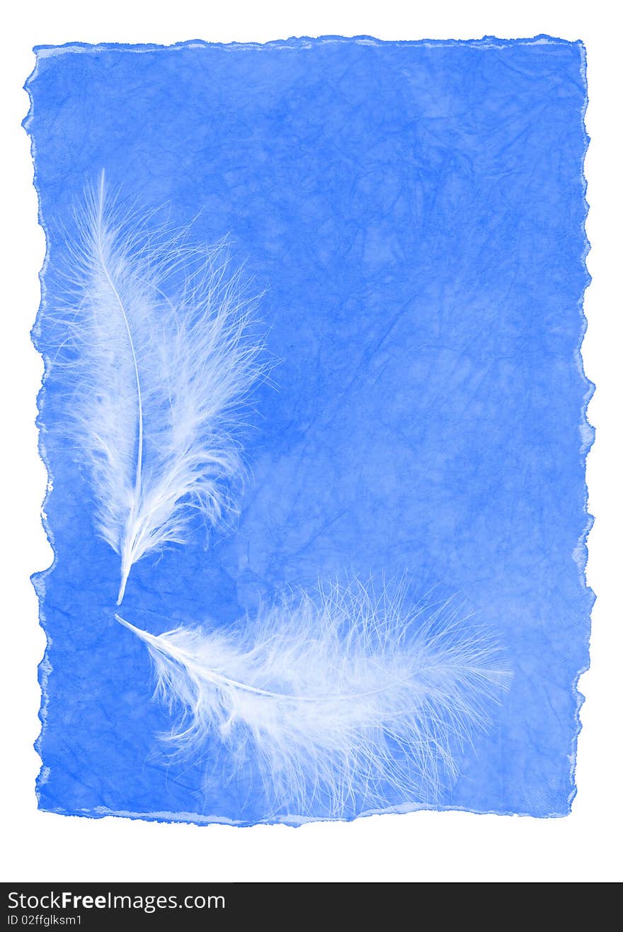 Letter Paper With Feathers