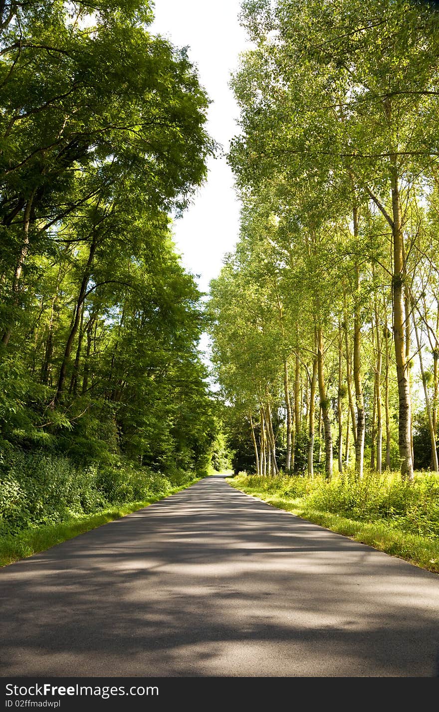 With a natural roof formed by trees. With a natural roof formed by trees