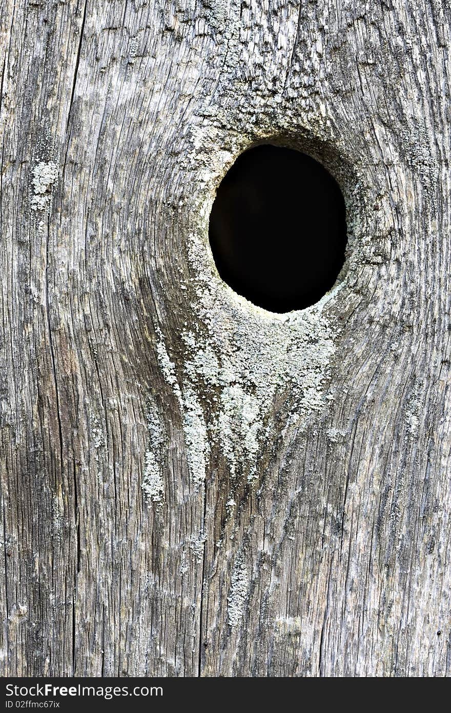 Old weathered board with knot hole. Old weathered board with knot hole