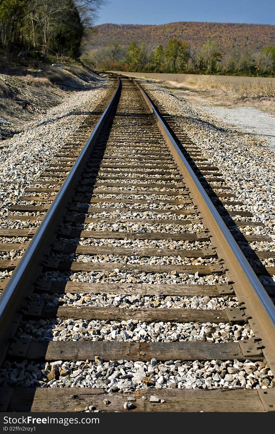 Railroad tracks leading into the colorul fall forest. Railroad tracks leading into the colorul fall forest