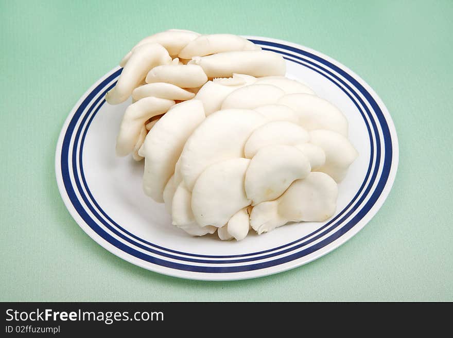 Fresh white mushroom on the plate.(on green background.)