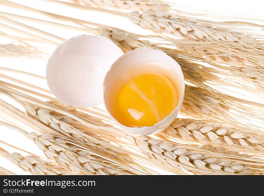 Background with gold wheat and egg