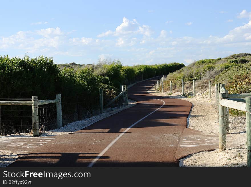 Road passing through the bushes