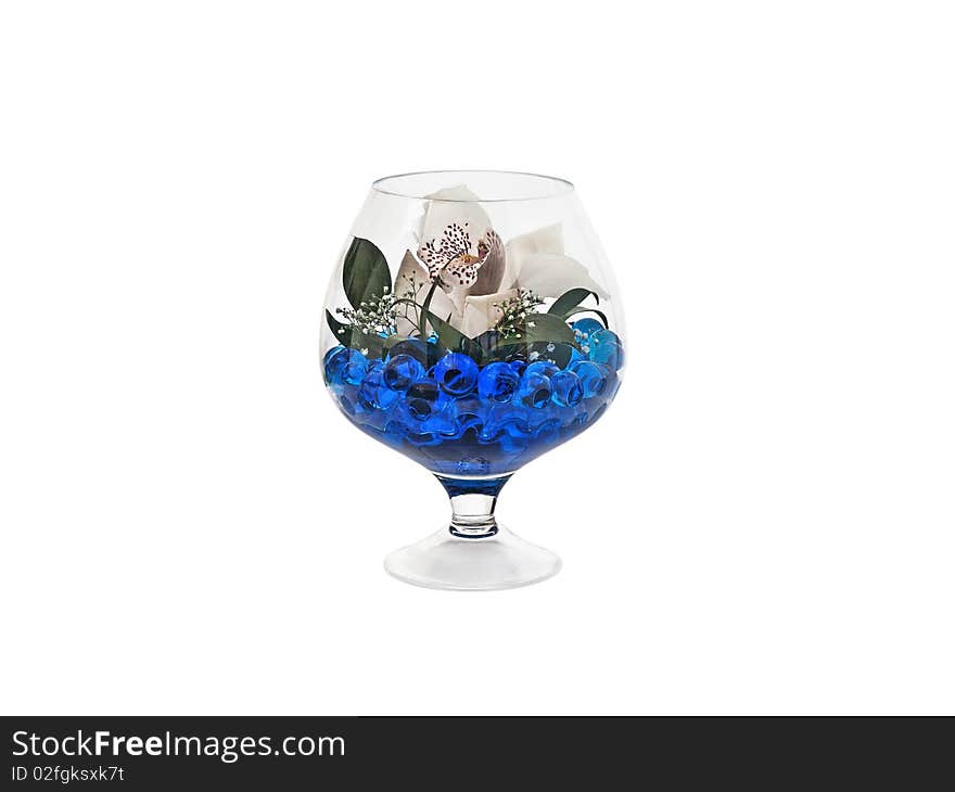 Live orchid in a glass