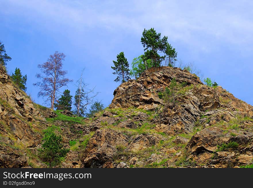 Part of a hill. Forest.