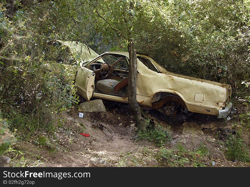 Car wrack stuck in the forest