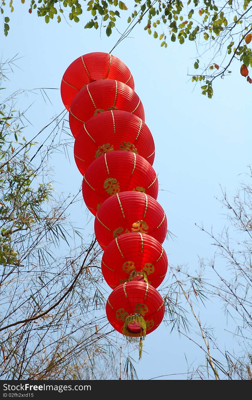 Chinese lantern