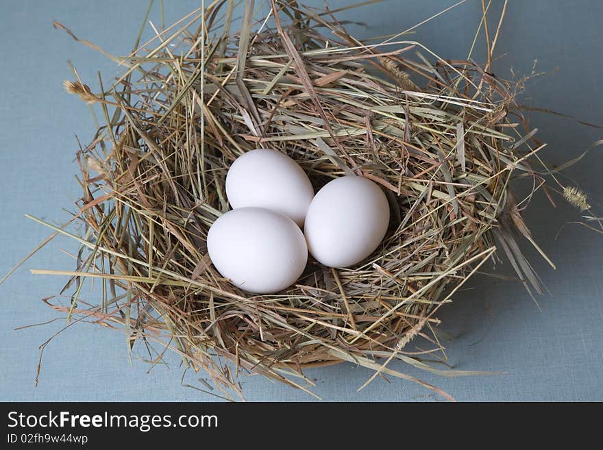 Three white eggs lies at hay. Three white eggs lies at hay