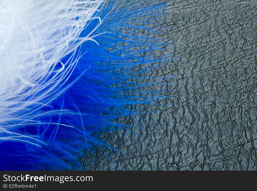 Blue and white feathers on the abstract black background