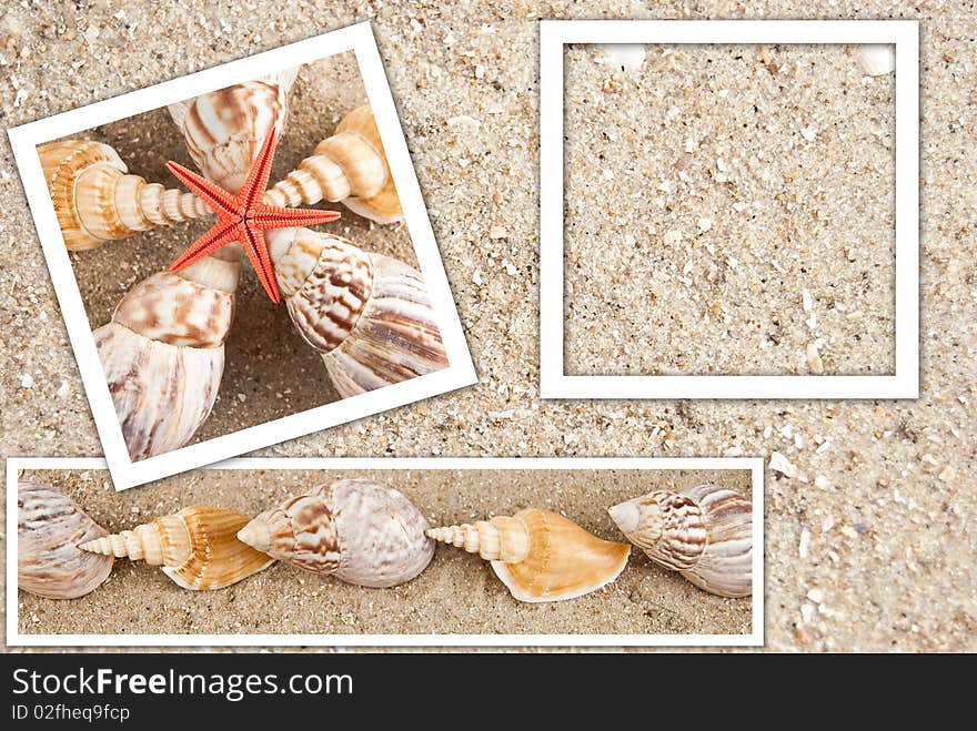 Beautiful background in the form of sand and shells in frames